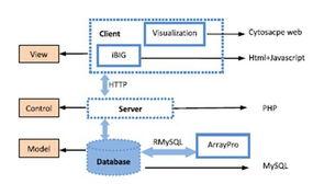 基因組所(suo)成(cheng)功開發(fa)整合(he)網(wang)絡工(gong)具iBig，開啟(qi)生物(wu)信(xin)息網(wang)絡分(fen)析(xi)新(xin)紀(ji)元